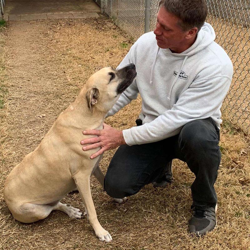 almost home dog boarding